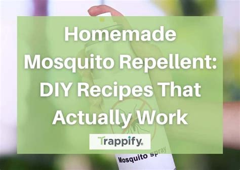 Homemade Mosquito Repellent Diy Recipes That Actually Work