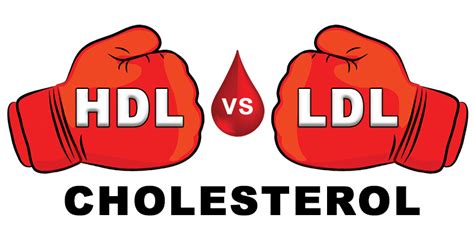 What Is The Difference Between Hdl And Ldl Cholesterol Bact Med