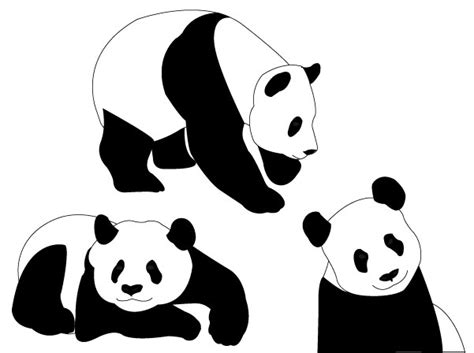 Panda Bears Vector Download Free Vector Art Free Vectors