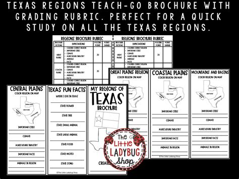 Regions Of Texas Activity And Texas Regions Texas History Activity