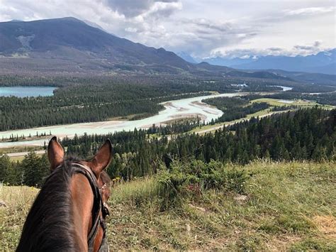Jasper Riding Stables 2022 What To Know Before You Go