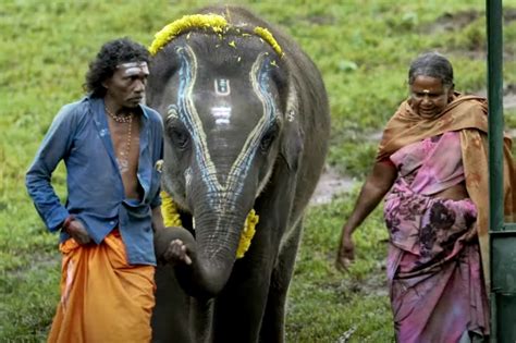 The Elephant Whisperers Trailer Depicts Bond Between An Indigenous