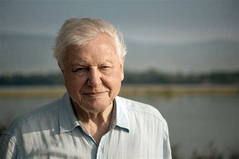 Discuss his documentaries or anything else which you may find relevant. David Attenborough: Dynasties presenter NEVER wears ...