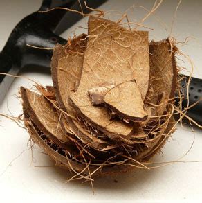Apply the oil to your scalp, paying special attention to the balding edges. Learn how to grow cannabis in coconut fiber - Growing Weed ...