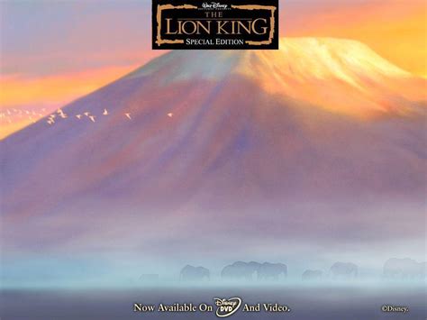 The Lion King Wallpapers Wallpaper Cave