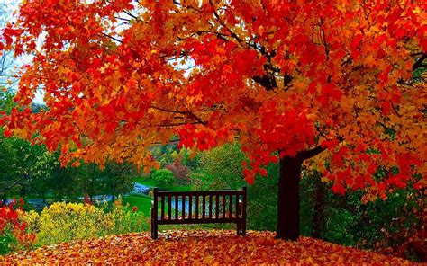 Stunning Images That Prove Fall Is The Most Spectacular Season