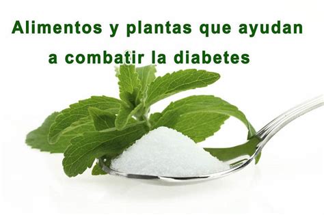 Hay plantas medicinales que pueden ayudar a controlar la diabetes. Alimentos y plantas que ayudan a combatir la diabetes | Stevia, Estevia, Alimentos