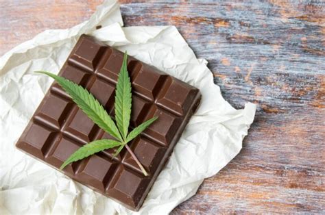 Top 5 Favorite Types Of Weed Edibles Florida Independent
