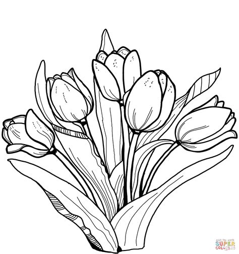 Tulips Coloring Page Free Printable Coloring Pages