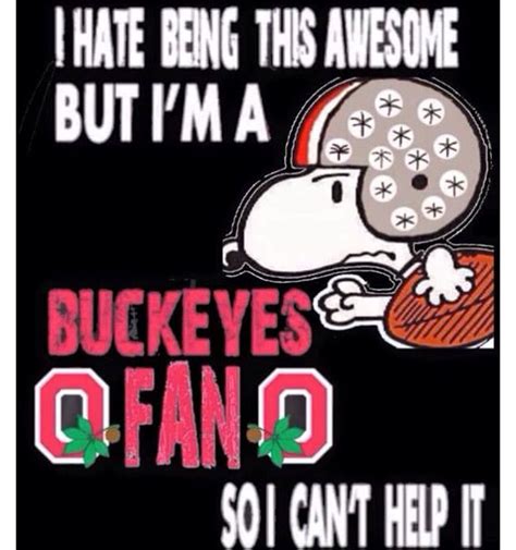 No Apologies Ohio State Buckeyes Football Funny Ohio State Buckeyes