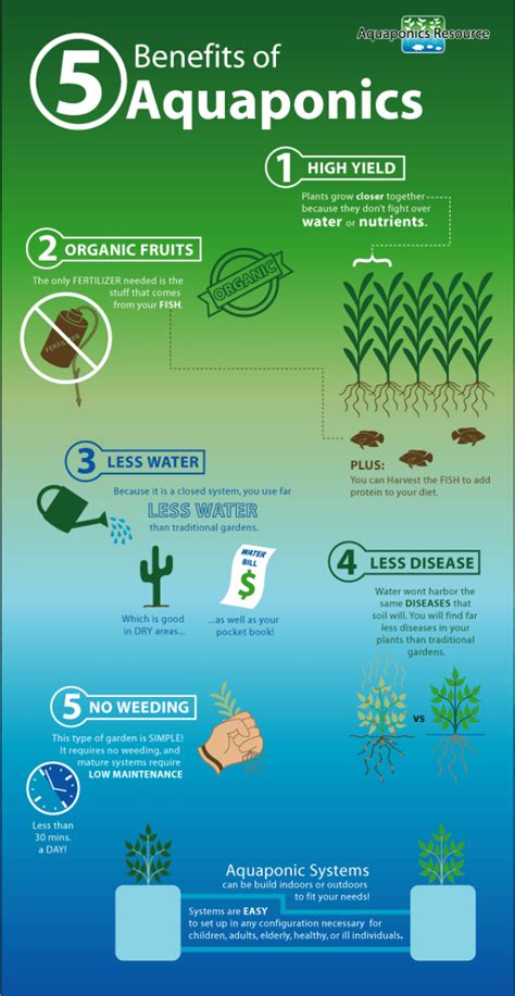 5 Benefits Of Aquaponics Systems Aquaponics Resource Aquaponics