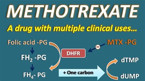 Methotrexate A Drug With Multiple Clinical Uses Youtube
