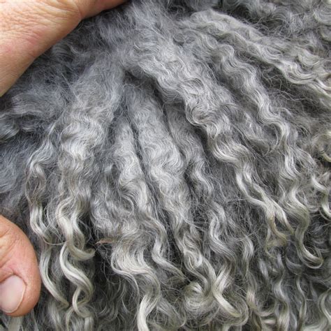 All About Mohair Dolly Rock Farm And Fiber