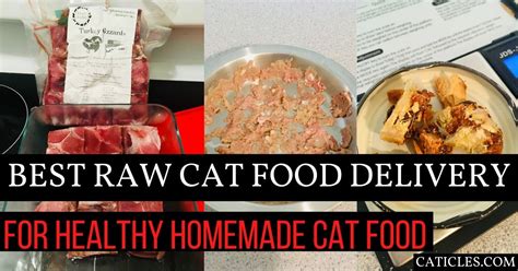 No artificial colors, flavors or chemical preservatives. Best Raw Cat Food Delivery Service Companies in 2020 ...