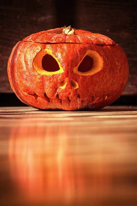 Halloween Evil Face Pumpkin Stock Photo Image Of Autumn Outdoors