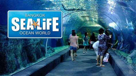 Sea Life Ocean World Aquarium Bangkok Thailand