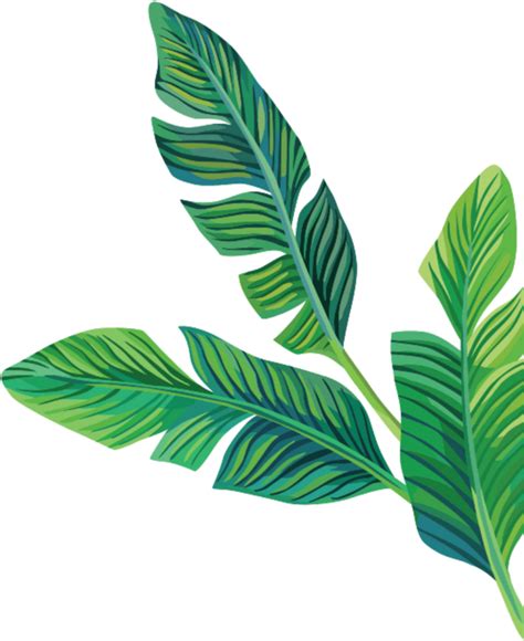 Aesthetic Leaves Png Transparent Png Mart