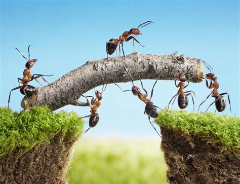 Fascinating Team Building Tactics That Can Help Your Business Grow