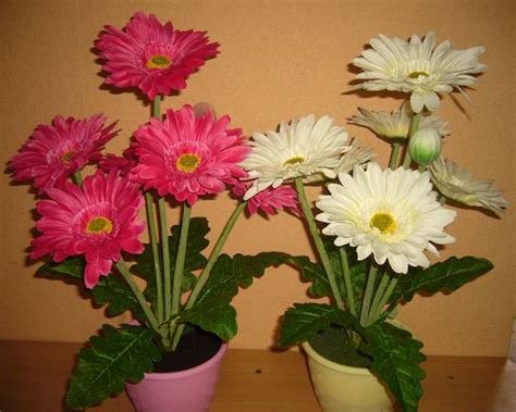 Check spelling or type a new query. Gerbera Flowers Bringing Joy and Color into Interior ...