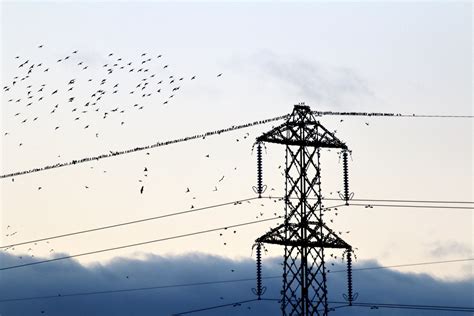 The Story Of Electricity Pylons — Living Levels