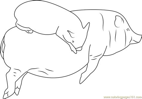 Sleeping Pigs by Shalotka Coloring Page for Kids - Free Pig Printable