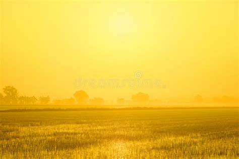 Mist Morning With Sunrise Stock Photo Image Of Countryside 36425436