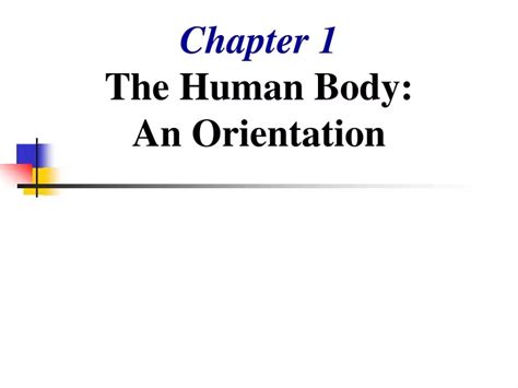 Ppt Chapter 1 The Human Body An Orientation Powerpoint Presentation