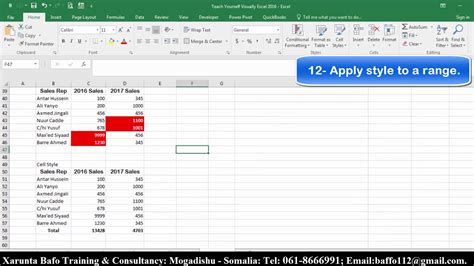 Teach Yourself Visually Excel 2016 07 Af Somali Youtube