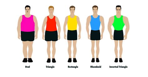 There Are Only Five Male Body Shapes According To Health Experts