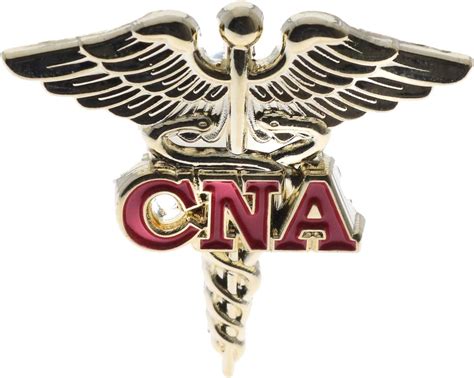 Cna Certified Nurse Assistant Caduceus Hat Or Lapel Pin