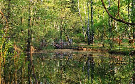 Wallpaper Landscape Lake Reflection River Wilderness Pond