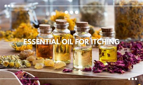 Essential Oil For Itching Balm Aromatherapy