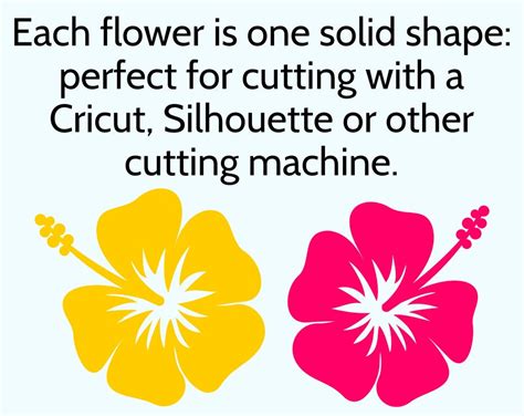 Hibiscus SVG Flower Cut File for Cricut & Silhouette, Tropical Flower