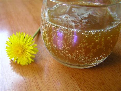 Lacto Fermented Dandelion Soda Probiotic Drinks Fermented Drink