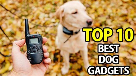 Top 10 Best Gadgets For Dog My Deal Buddy Youtube