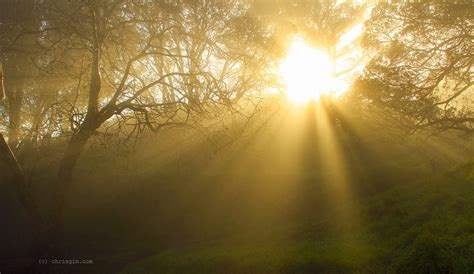 Burst Of Light Sun Breaks Through The Morning Fog At Mt Ed Flickr