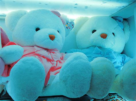 You may not have the same habit but we all can agree to the fact. Cute Teddy Bear Pictures | WeNeedFun