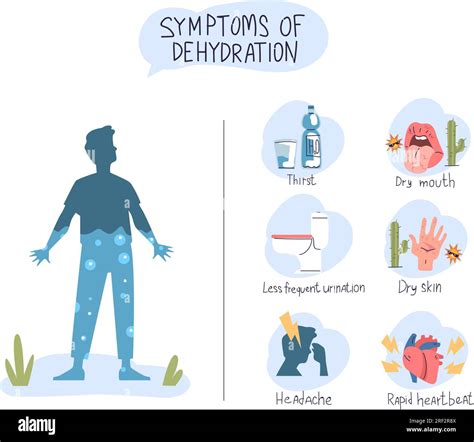 Síntomas De Deshidratación Infografía De Síntomas De Dhidratación