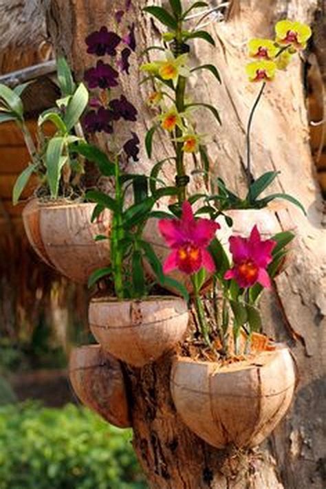 Beautiful Diy Hanging Orchids Ideas 34 Orchid Planters Hanging