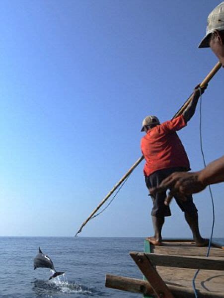 【閲覧注意】インドネシアの漁師に密着したらとんでもないものが撮れた ポッカキット