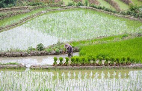 Increíbles Vistas Desde Las Terrazas De Arroz De Yuanyang China Mi Viaje