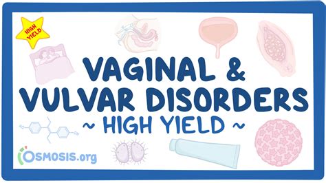 Vaginal And Vulvar Disorders Pathology Review Video Osmosis