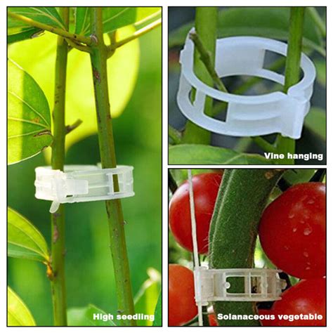 【brand New】50100pcs Plastic Plant Support Clips For Tomato Hanging