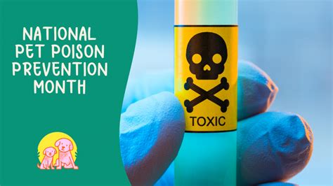 National Pet Poison Prevention Month Tom And Toto Pet Care Ltd
