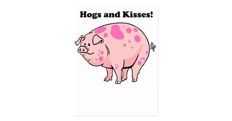 Hogs And Kisses Cute Pig Hog Cartoon Postcard