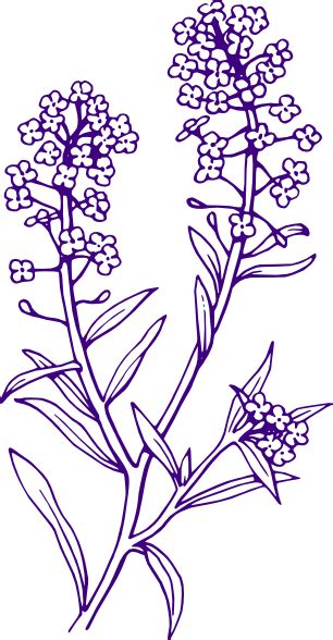 Purple Filler Flowers Clip Art At Vector Clip Art Online