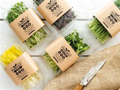 Micro Packaging Is A Novel Packaging Solution That Enhances Bio