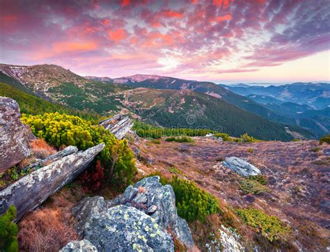Colorful Autumn Sunrise In The Carpathian Mountains Stock Image