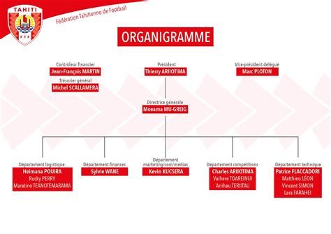 Organigramme De Lentreprise