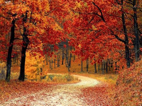 Top 50 Autumnal Equinox 2023 Wishes Messages And Hd Images